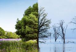 Bakan Özhaseki'den iklim açıklaması!