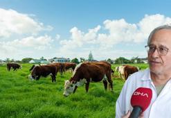 Amerika'da gözüktü!  Türk bilim insanları mercek altına aldı