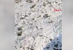 Nisan ayında kar yağdı! Görenler şaşkına uğradı