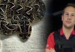 Polise yakalandı, zehirli yılanla intihar etti