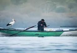 Bayram şekeri diyerek balıklara seslendi! O anlar saniye saniye kaydedildi