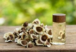 Kırışıklıklardan eser bırakmıyor, 1 kaşığı 10 yaş gençleştiriyor! Anavatanı Himalayalar olan Moringa yağının faydaları saymakla bitmiyor