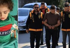 Adana'da "Rottweiler" dehşeti!  2 kişi gözaltına alındı
