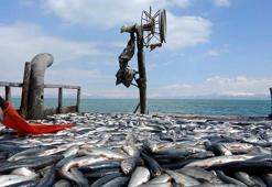 Van Gölü'nde 3 ay sürecek av yasağı başladı