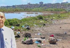 Dicle Nehri'nde alarm çanları çalıyor!