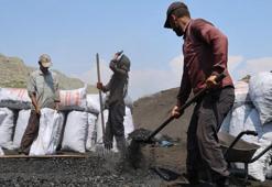 Çukurova sıcağında narenciye odunları mangal kömürüne dönüşüyor! Günler sürüyor