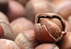 TMO’dan fındık satış kararı! İşte fiyatları...