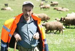 40 bin TL maaşa çoban bulunamıyor! Besiciler zor durumda