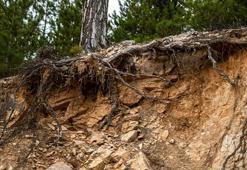 Erozyon Nedir, Neden Olur? Erzoyon Nasıl Önlenebilir?