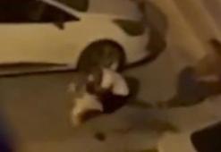 Adana'da evden kaçan pitbull dehşeti: İki kişiyi yaraladı