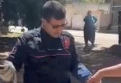Adana'da yılan paniği! Ekipler yakalayıp doğaya saldı