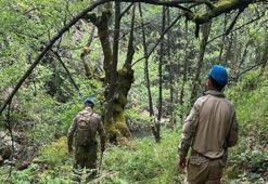 Kayıp ekonomist Korhan Berzeg’in kızından DNA örneği alınacak! Cesedi parçalanmış olma ihtimali üzerinde duruluyor