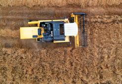 Adana’da buğday hasadı başladı, verim yüzleri güldürdü! "Çiftçi buğdayını ucuza satmasın"