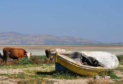 Marmara Gölü'nü kurtaracak proje! Kuraklık ve su kaynakları kesildi..