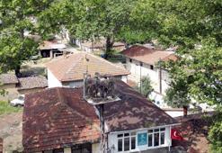 Mahallenin maskotu haline geldi! Kurulan kamera sayesinde saniye saniye izlenecek