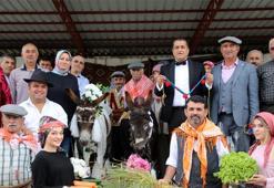Eşeklere nikah kıydılar, görenler gözlerine inanamadı! O anlar saniye saniye kaydedildi