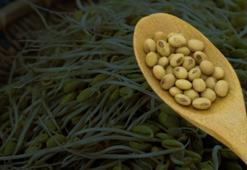 Mucize besin Adana'da yetişiyor, saatlerce tok tutuyor!