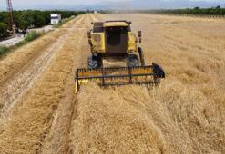 2024 hububat satış fiyatlarını belirlendi