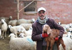 Muhtar olamadı, meşhur oldu! Şimdi baldızı ve bacanağı düşünsün