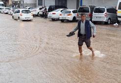 Adana'da sağanak ve fırtına! Ağaçlar devrildi, yollar suyla doldu
