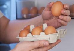 Tavuk yumurtası üretimi arttı!
