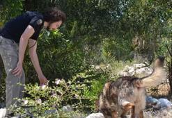 Aylardır kayıptı! Telefonunun en son sinyal verdiği yerde arandı