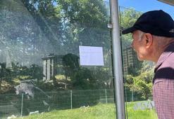 Evlenmek için durağa ilan astı! Lise mezunu, lise terk ve ortaokul mezunu olanlara hitap etti