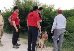 Mısır tarlasında kaybolan çiftçiyi özel eğitimli köpeklerle aranıyor