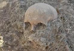 Osmanlı Devleti ile Timur'un savaşında yeni bulgular bulundu! Tarihin seyri mi değişiyor, işte detayları..