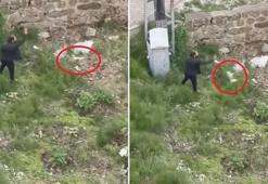 Trabzon'da vahşet! Tekmelediği yavru kediyi ezerek öldürüp, fırlattı