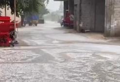 Ceyhan'da dolu, tarım arazilerini vurdu