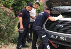 Adana'da aracın motoruna giren kediyi CANKUR ekipleri kurtardı