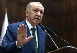 Saldırgan köpek sorunu nasıl çözülecek? Erdoğan: Sahipsiz köpeklerin sahiplenilmesini amaçlıyoruz