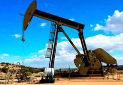 Aramco halka arz ne zaman, Saudi Aramco ne zaman talep toplamaya başlayacak? Aramco halka arz kaç lot verir, hangi bankalarda var, katılım endeksine uygun mu?
