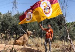 Galatasaray'ın şampiyonluğunu aslanlarıyla kutladı!