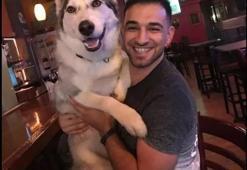 Saldırgan köpek 6 haftalık bebeklerini parçaladı!  Barınakta da rahat durmadı: Dehşet verici anlarda kıpırdamadı bile: "O ana kadar hiç saldırganlığı olmamıştı"