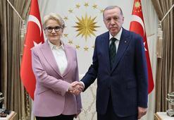 Cumhurbaşkanı Erdoğan ile Akşener arasında kritik görüşme