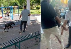 Bir kuduz köpek vakası daha! Yolda yürürken bir anda ısırdı