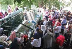 Sınava giren öğrencinin arkasından okunacak dua! Sınavda başarılı olmak için okunacak dua ve sureler ile kısa, etkili YKS duası