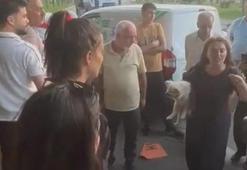 Şanlıurfa'da 'kuduz' karantinasına alınan mahallede arbede; 3 gözaltı