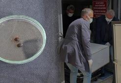 Sivas Valiliği uyardı: 22 vaka tespit edildi 3 kişi öldü 300 kişi tedavi görüyor