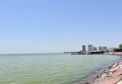 İzmir'de denizin rengi yeşile döndü!