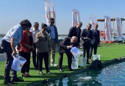 2 milyon 250 bin yavru balık sulara bırakıldı
