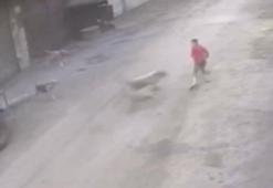 Adana'da 14 yaşındaki çocuk başıboş köpeklerin saldırısına uğradı! Şok anlar