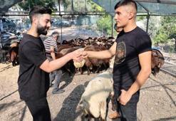 Adana'da kurban fiyatları düşüyor! İşte yen tarife