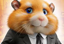 Hamster Kombat günlük şifre 19 Haziran! Hamster Kombat günlük combo kart 19 Haziran nedir, Hamster Kombat günlük şifre nasıl girilir? 19 Haziran Hamster Kombat günlük şifre