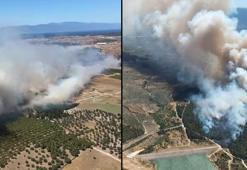 İzmir, Manisa, Uşak ve Balıkesir'de yangın! Havadan ve karadan müdahale ediliyor
