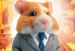 Hamster kombat günlük şifre 21 Haziran 2024! Hamster kombat günlük combo kart 21 Haziran nedir, hamster kombat 21 Haziran şifre nasıl girilir? 21 Haziran hamster kombat günlük şifre