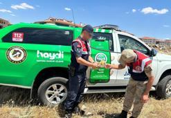 Jandarma'nın bulduğu iki yırtıcı kuşa Gaziantep Hayvanat Bahçesi'ne teslim edildi