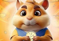 Hamster kombat günlük şifre 25 Haziran 2024! Hamster kombat günlük kombo 25 Haziran şifre nedir? İşte Hamster kombat günlük kombo kartları 25 Haziran